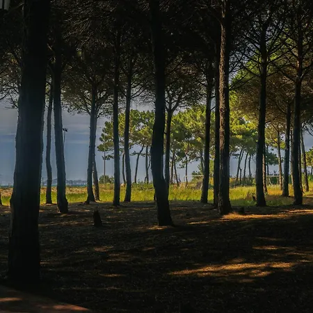 Flat On Relaxing Appartamento