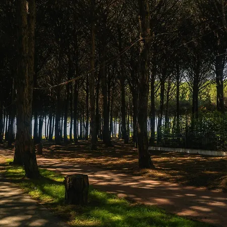 Appartamento Flat On Relaxing Golem (Tirana)