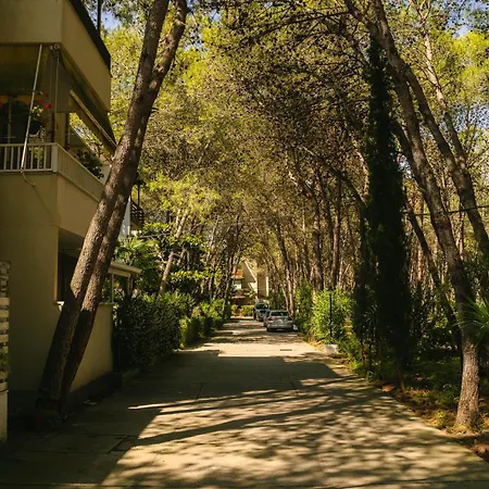 Flat On Relaxing Apartament