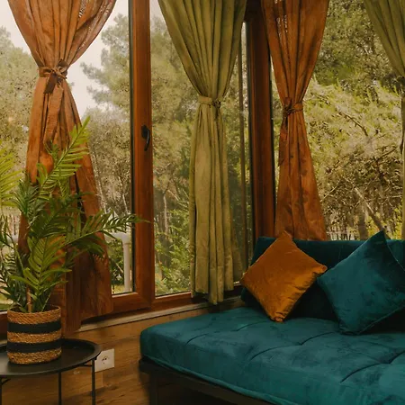 Apartmán Flat On Relaxing Golem (Tirana)