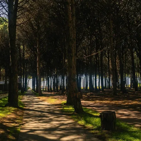 Flat On Relaxing 格勒姆