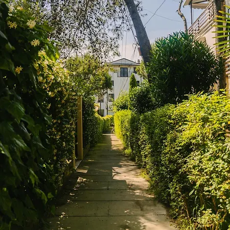 Flat On Relaxing * 格勒姆