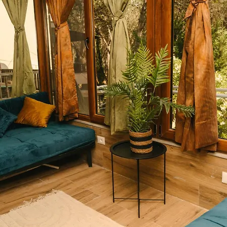 Flat On Relaxing Apartment